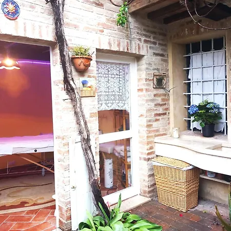 Holistic Tuscan Experience 게스트하우스 아시아노
